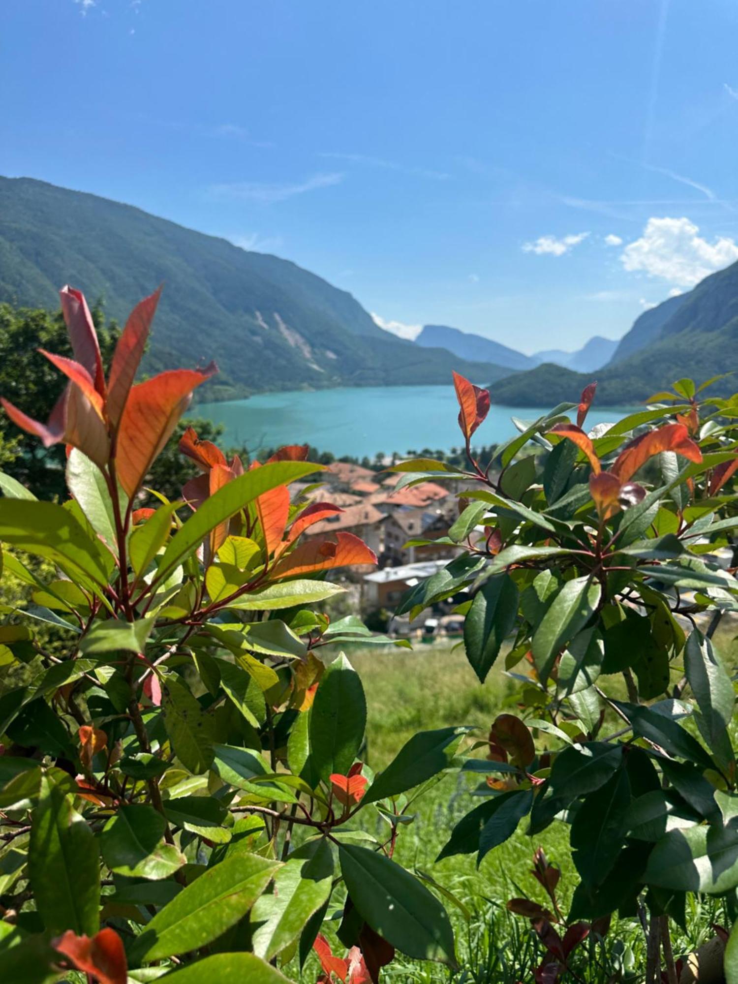 Villa La Dama Del Lago Molveno Exteriér fotografie