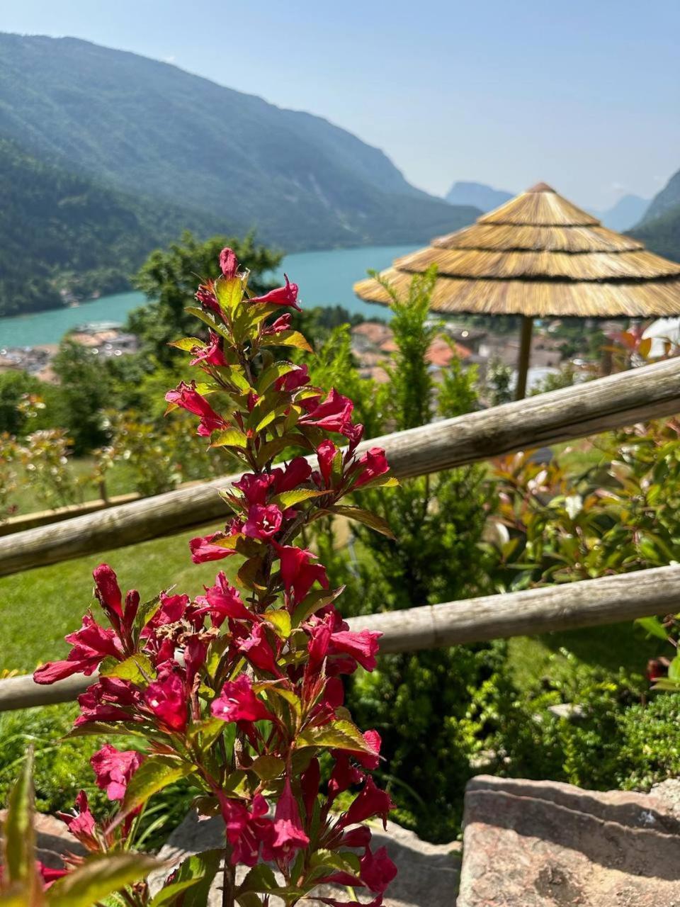 Villa La Dama Del Lago Molveno Exteriér fotografie